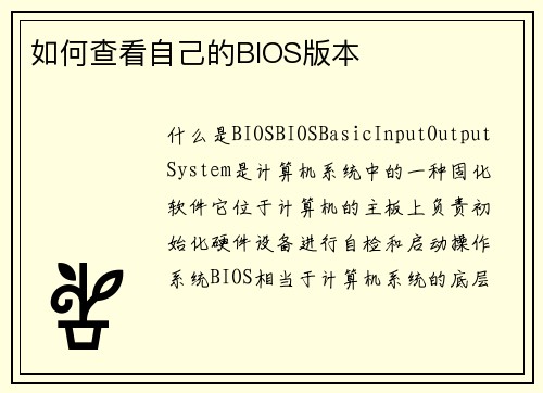 如何查看自己的BIOS版本